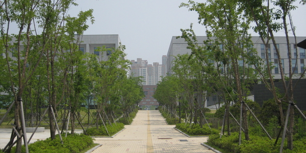 송도 연세대학교